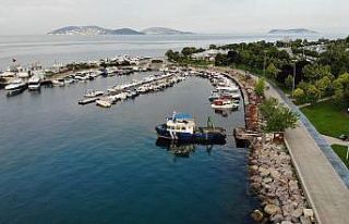 Kartal Sahili deniz salyasından temizlendi