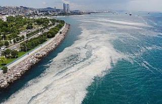 Kartal Sahili’ndeki müsilaj yoğunluğu havadan...
