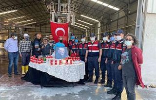Kavga ihbarına gelen jandarma ekiplerine sürpriz
