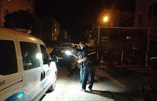 Kavgayı ayırmak isterken annesini tüfekle vurdu
