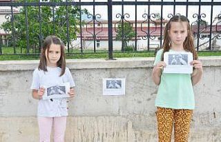 Kaybolan ördeklerini hazırladıkları afişleri...