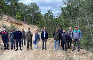 Kaymakam Sak, ağaç damgalama çalışmalarına katıldı