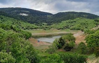 Kaymakam Sak: ’’Kontrolsüz sulamaya izin verilmeyecek’’