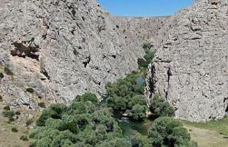 Kaymakam tanıtım için kendini Tohma çayının...