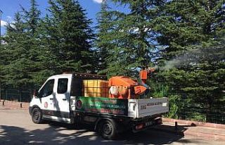 Keçiören’de ilaçlama seferberliği