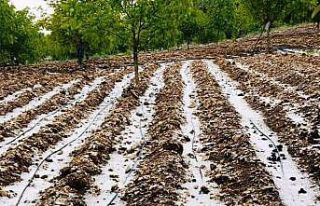 Keles’i dolu vurdu