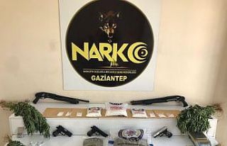 Keman kutusu ile valizlerin içinden esrar çıktı