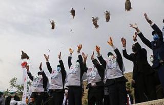 Keneyle mücadelede etkin rol oynayan keklikler, doğaya...