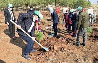 Kilis’e 17 yılda 10 milyondan fazla ağaç dikildi