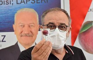 Kiraz ihracatındaki fiyat oyununa üreticilerden...