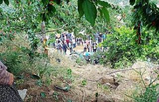 Kiraz toplarken canından oldu