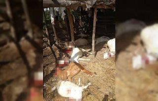 Kırkağaç’ta yıldırım düştü çok sayıda...