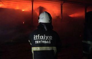Kırklareli’nde hayvan çiftliğinde yangın
