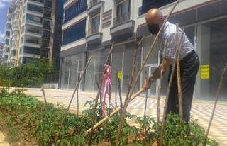 Kısıtlamayı fırsat bildi, apartman önünü hobi...