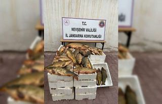 Kızılırmak’tan kaçak balık tutan şüpheli...