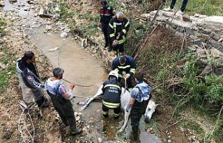 Konya’da itfaiyeden at kurtarma operasyonu