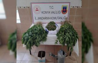 Konya’da jandarmadan uyuşturucu operasyonu