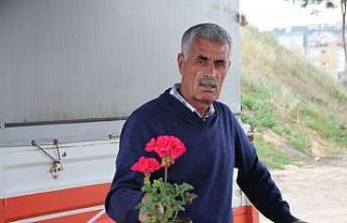 Korona sayesinde balkonlar bahçeye dönüştü