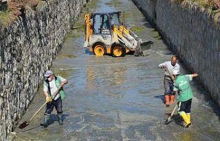 Kötü koku ve sinek popülasyonunun önüne geçmek...