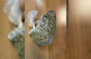 Kovalamaca sonucu yakalandı, üzerinden bonzai çıktı