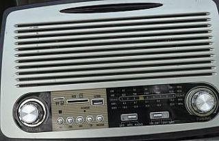 Kovanlarına ayı musallat olunca bu yöntemi buldu