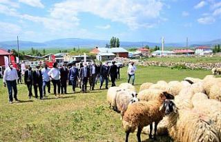 "Köyümde Yaşamak İçin Bir Sürü Nedenim...