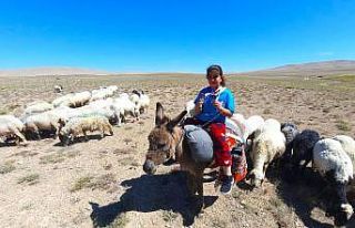 Koyun otlatırken çalıştı, badmintonda Türkiye...