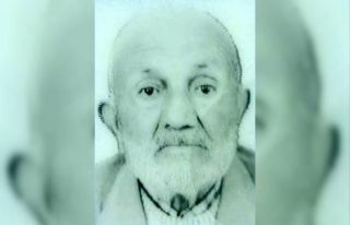 Koyun otlatmaya giden yaşlı adam ormanlık alanda...