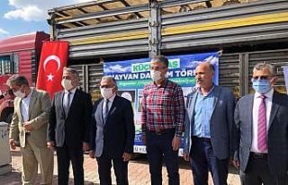 “Koyunlar Artıyor Meralar Şenleniyor” projesi...