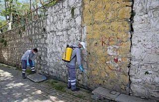 Küçükçekmece Belediyesi yaz aylarında sivrisineklere...