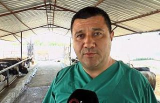 Kurbanlık alacaklara uzmanından önemli uyarılar