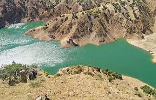 Kurttan kaçıp kayalıklarda mahsur kalan keçi kurtarıldı