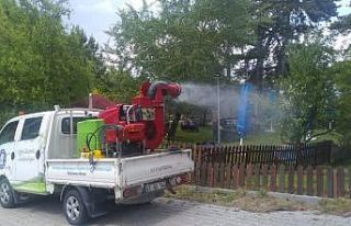 Kütahya’da haşereyle mücadele aralıksız sürüyor