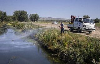 Kütahya’da sinek ve haşereyle mücadele