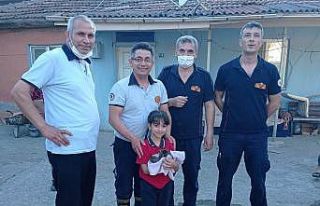 Kuyuya düşen kediyi itfaiye kurtardı