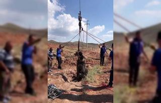 Kuyuya düşen manda AFAD tarafından kurtarıldı
