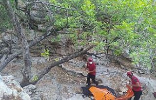 Likya yolunda yürüyüp yapan gurbetçi, kayalıklardan...