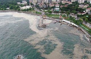 Lodosun kıyıya sürüklediği müsilaj, drone ile...