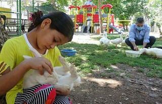 Mahalle muhtarı, çocuklar için mini hayvanat bahçesi...