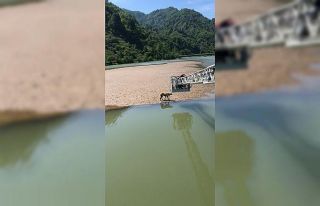 Mahsur kalan köpeğin imdadına itfaiye ekipleri...