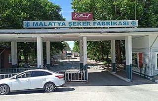 Malatya Şeker Fabrikası’nda birincilik sevinci