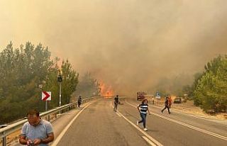 Manavgat-Konya yolu üzerinde orman yangını