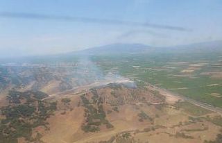 Manisa’da ormanlık alandaki yangın kontrol altına...