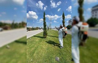 Mantari hastalığı ile mücadelede yüzde 95 başarı