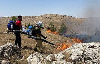 Mardin’de ağaçlık alanda yangın: 12 dönümlük...