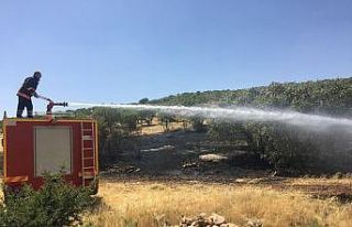 Mardin’de itfaiye ekipleri son 1 ayda 345 yangına...