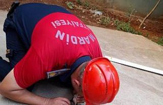 Mardin’de itfaiye eri kalbi duran yavru kediyi suni...