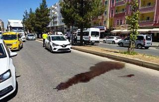 Mardin’de kaza: 3 kız çocuğu yaralandı