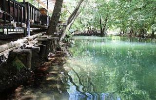 Mardin’de kuraklık nedeniyle akarsulardaki su seviyesi...