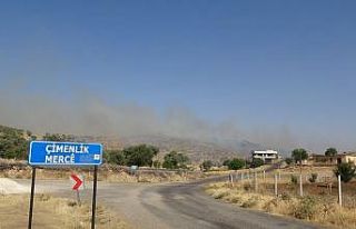 Mardin’de orman yangını